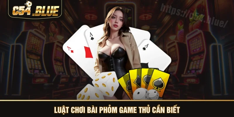 Luật chơi bài phỏm game thủ cần biết Luật chơi bài phỏm game thủ cần biết