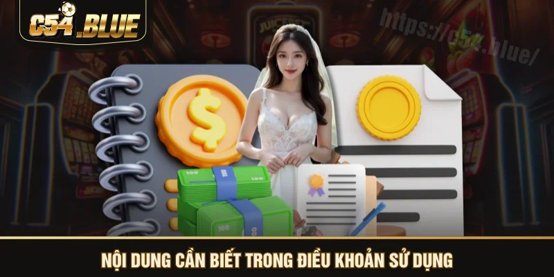 Nội dung cần biết trong điều khoản sử dụng