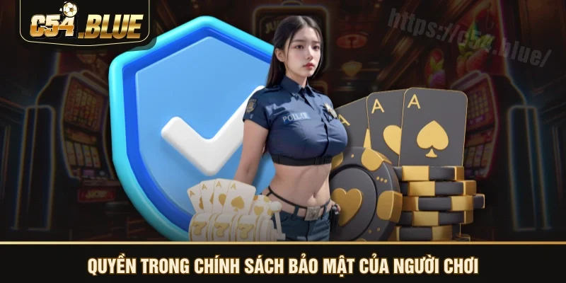 Quyền trong chính sách bảo mật của người chơi Quyền trong chính sách bảo mật của người chơi