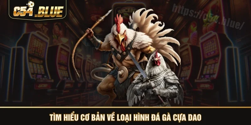 Tìm hiểu cơ bản về loại hình đá gà cựa dao