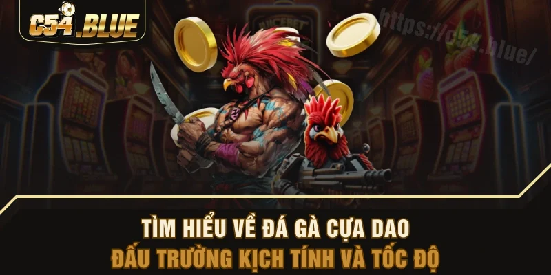 Tìm Hiểu Về Đá Gà Cựa Dao - Đấu Trường Kịch Tính Và Tốc Độ