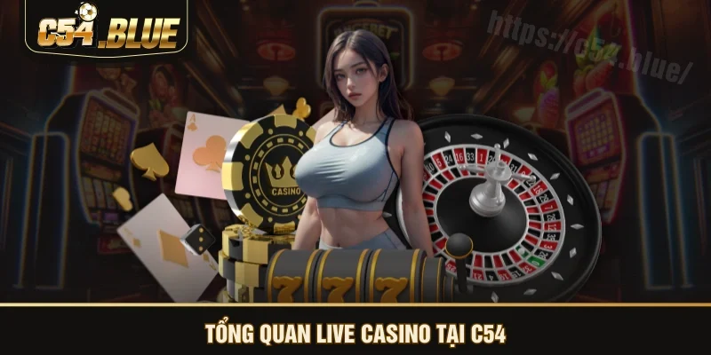 Tổng quan live casino tại C54 Tổng quan live casino tại C54