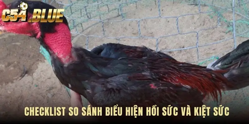 Checklist so sánh là nền tảng của recovery time analysis